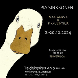 TAIDEKESKUS AHJO, HIILI -TILA: PIA SINKKONEN