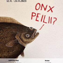 ART CENTER AHJO, SYSI-HALL; MONA PISTE - GOT A MIRROR?