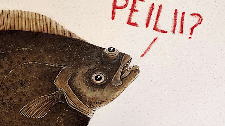 ART CENTER AHJO, SYSI-HALL; MONA PISTE - GOT A MIRROR?