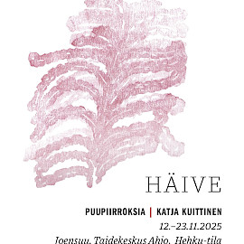 TAIDEKESKUS AHJO, HEHKU-SPACE; KATJA KUITTINEN - HÄIVE