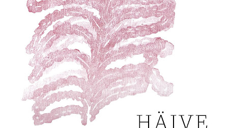 TAIDEKESKUS AHJO, HEHKU-SPACE; KATJA KUITTINEN - HÄIVE