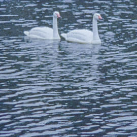 ART CENTER AHJO, KYTÖ/LIEKKI-SPACE; ANNU & KERTTU - 84,2 YEARS