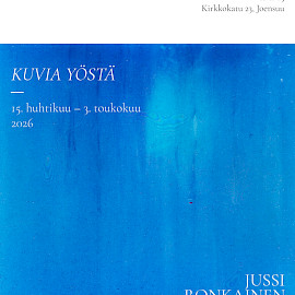 TAIDEKESKUS AHJO, HEHKU-TILA; JUSSI RONKAINEN - KUVIA YÖSTÄ
