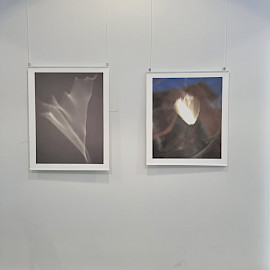 Kirjaston näyttelyt