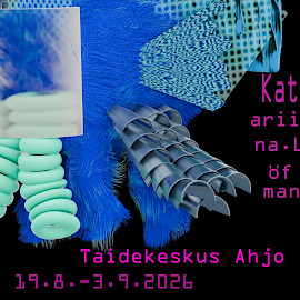 TAIDEKESKUS AHJO, KYTÖ/LIEKKI-TILA; KATARIINA LÖFMAN - KATEGORIAPAKOLAINEN
