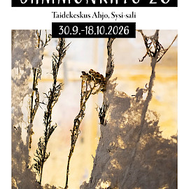 TAIDEKESKUS AHJO, SYSI-SALI; LAURA RUOTSALAINEN - SAMMONKATU 26
